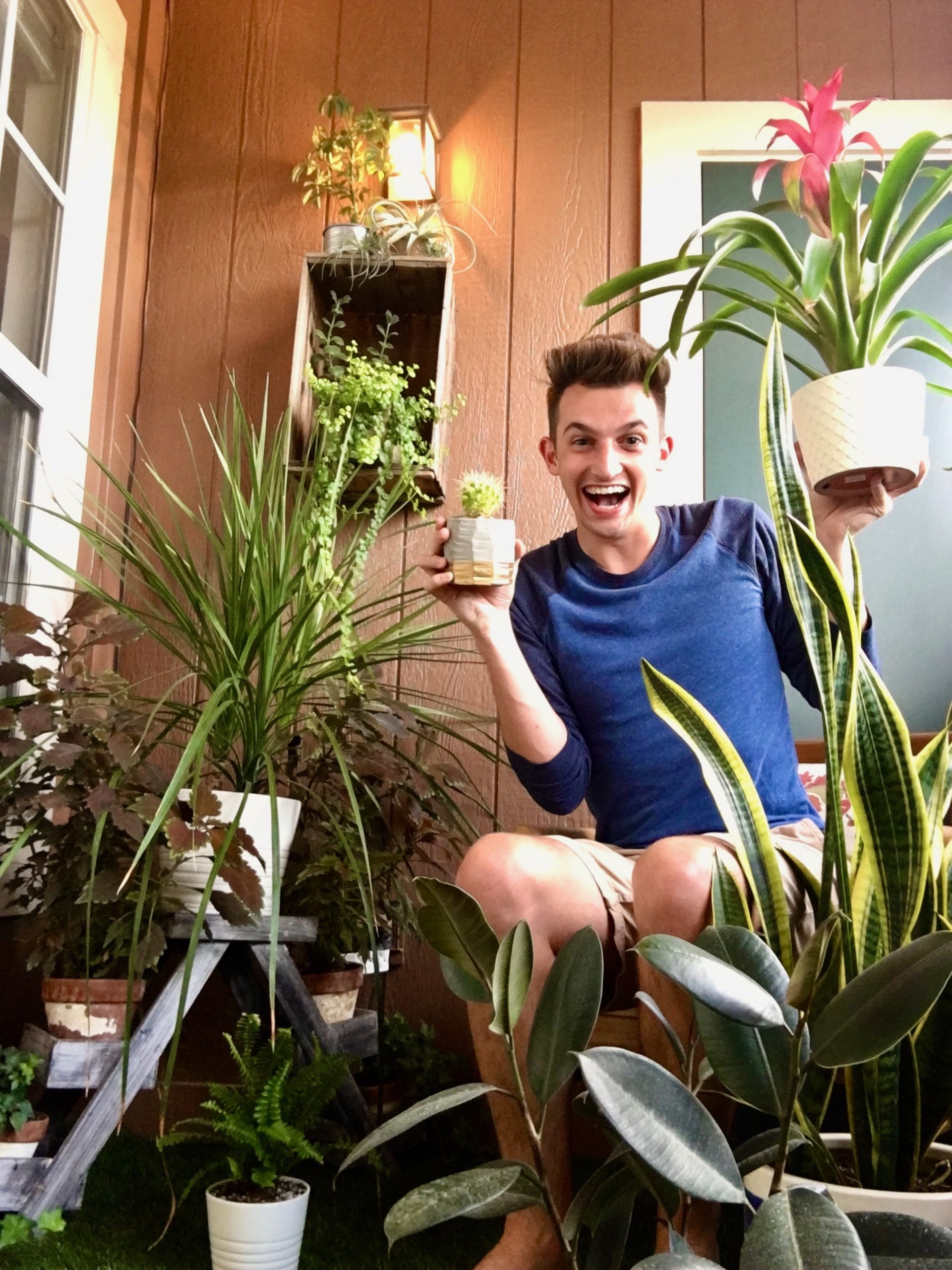 Weston-Porch-Plants-scaled-1
